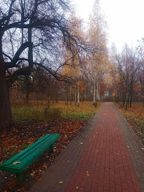 Киев, парк, аллея
