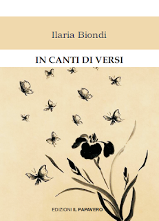 segnalazione-libro-in-canti-di-versi