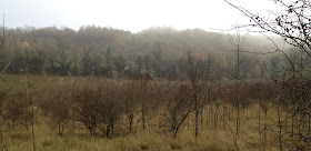 Cudham Valley, looking towards Cudham. 19 November 2011.
