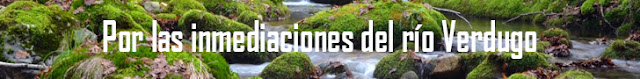 http://www.naturalezasobreruedas.com/2015/12/por-las-inmediaciones-del-rio-verdugo.html