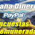 MarketAgent Paga 10.30€ por Paypal 