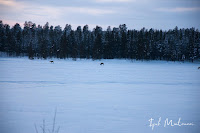 inari, ivalo, Sevettijarvi, kuzey ışıkları, Aurora Borealis, Laponya, Finlandiya, gezi blog