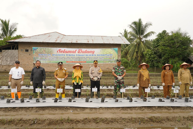 Cegah Inflasi, Pj Walikota Tebingtinggi Gerakkan Menanam Tanaman Cabai dan Bawang Merah