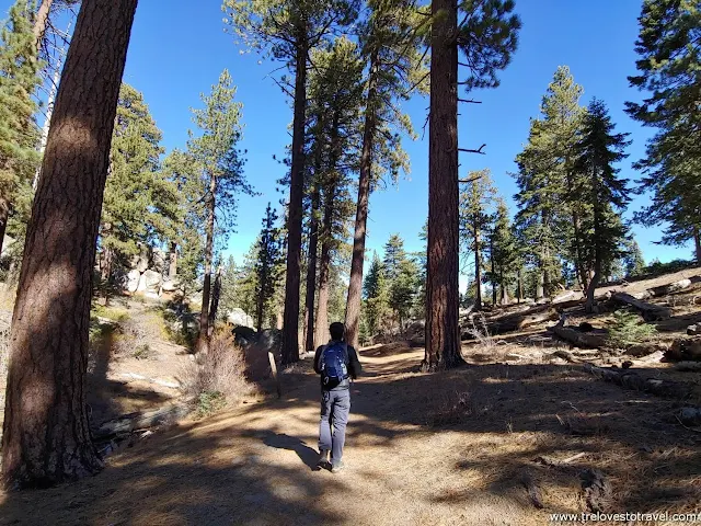 Where to Hike in Big Bear Lake