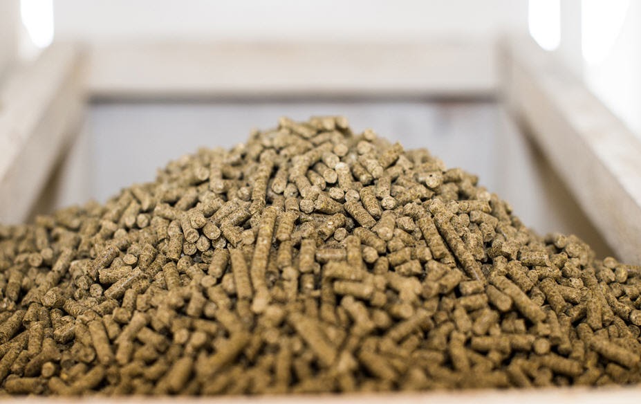 Global Compound Feed Market Industry Trends and Forecast to 2029