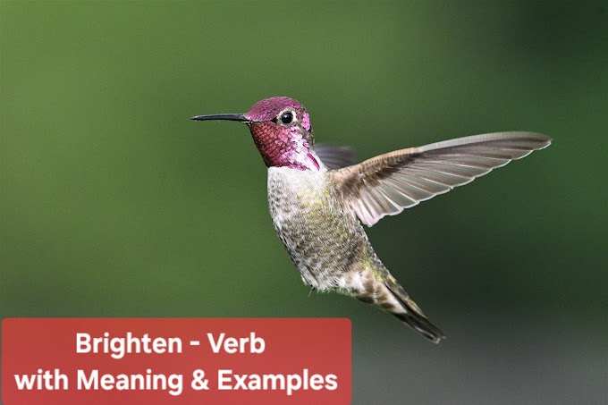 verbs-meaning-brighten-uses