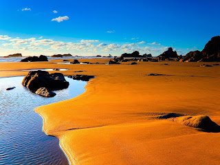 [Orange-Sand-Beach-Nature-HD-Wallpaper.jpg]