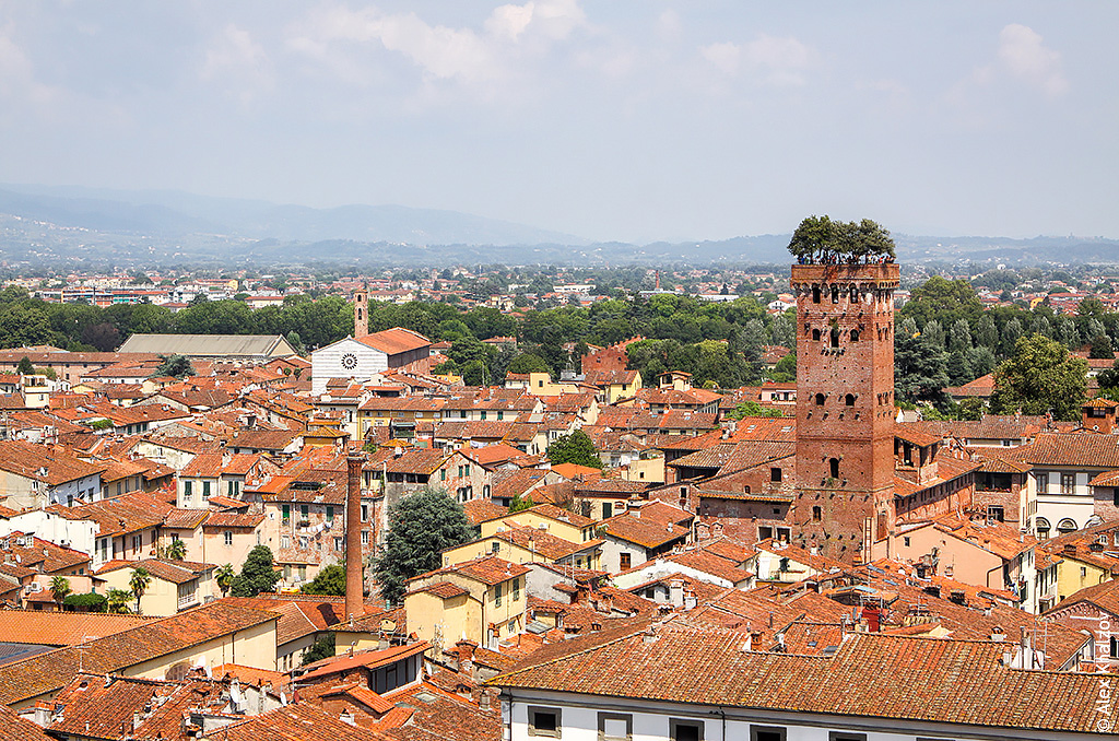 Lucca