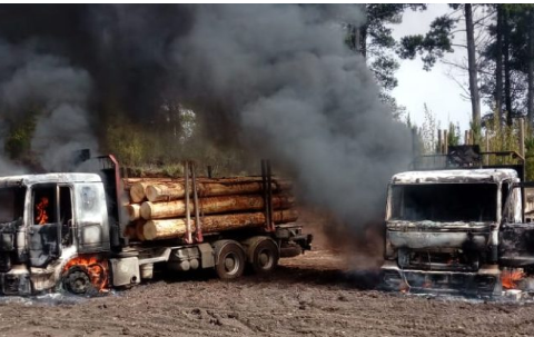 ARAUCANÍA: Violento atentado incendiario se registro en sector La Colonia - Lautaro, un delincuente detenido  