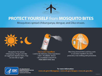 Protest Yourself From Mosquito Bites