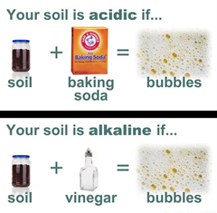 Soil Test Image