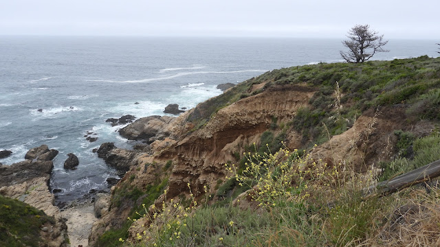 Day 13 - Pacific Coast Highway