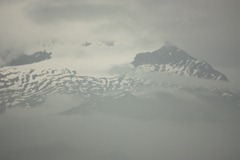 IMG_9590