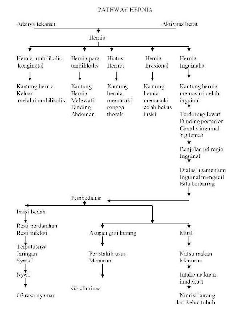 pathway hernia