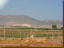 DSC01282