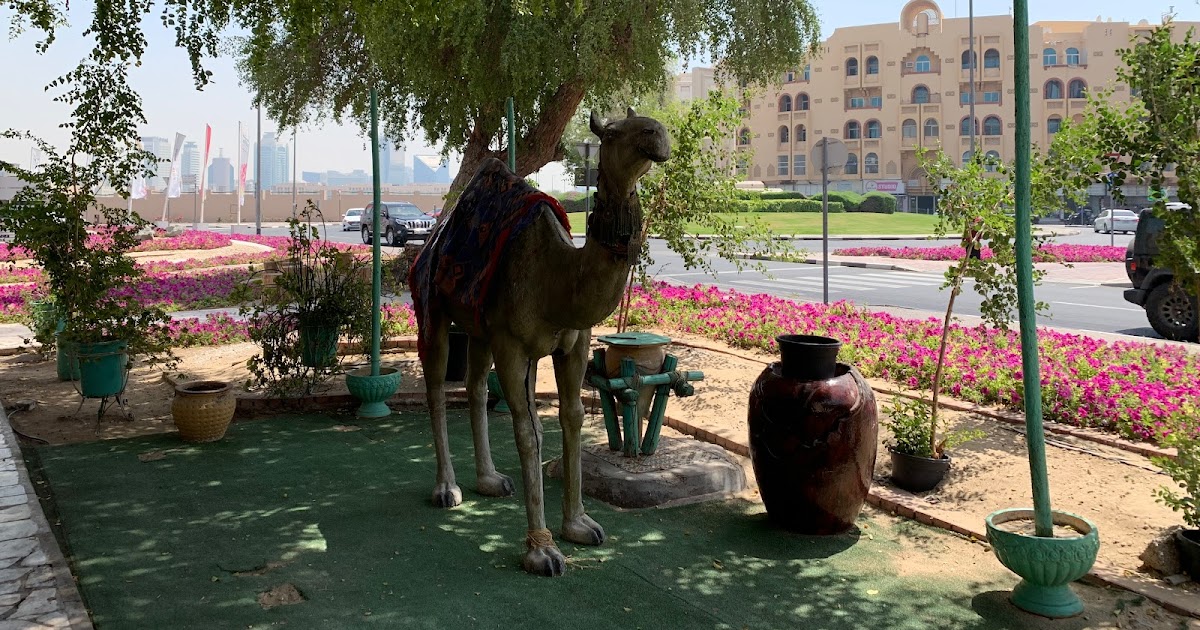 Desert Blooms In Dubai