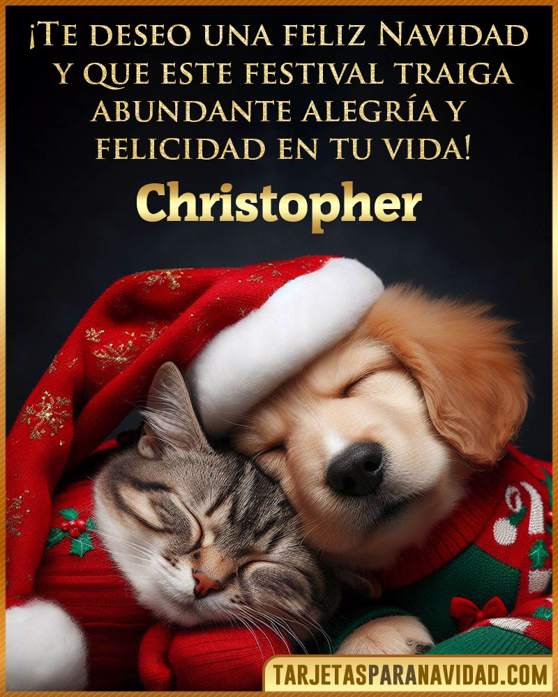 Postales de navidad para Christopher
