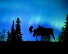 Wallpapers aurora boreal wallpapers aurora boreal fondos de pantalla aurora boreal