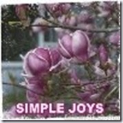 simple joys