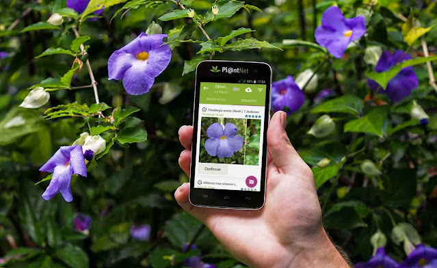 تنزيل app plantnet تطبيق التعرف على النباتات من خلال الصور