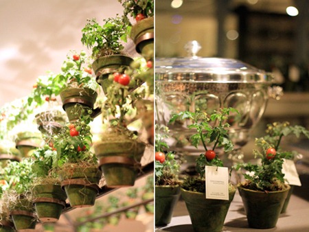les-chefs-et-decors-2010_02
