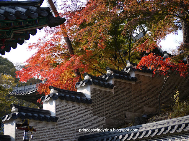 trees and building