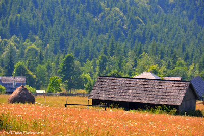 Tihuţa Pass, Borgo Pass, Translivania, Bucovina, Landscapes, Moldova, Romania, Suceava, Vatra Dornei, Bargau, Dracula, 