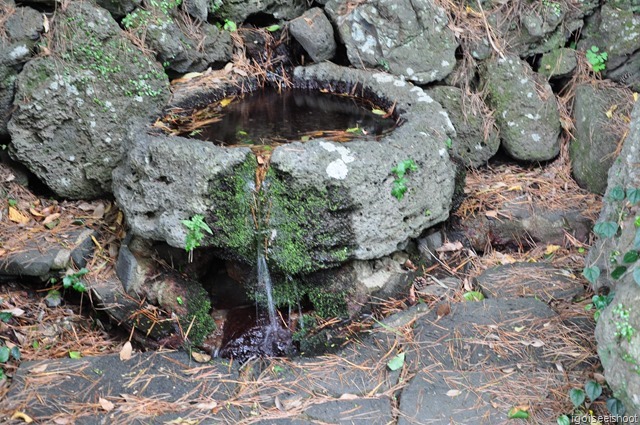 andeok valley well