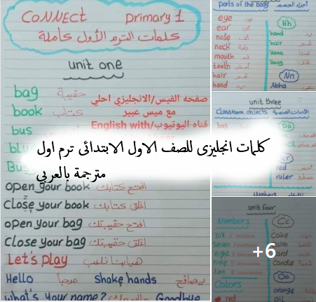 كلمات انجليزى للصف الاول الابتدائى ترم اول مترجمة بالعربي