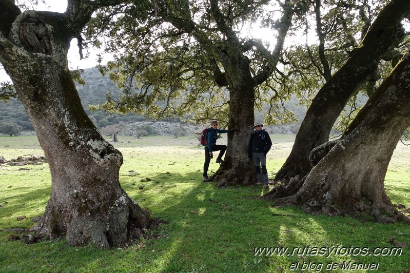 Sierra de Montalate