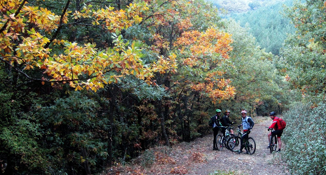 AlfonsoyAmigos - Ruta MTB