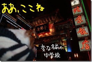 今日カズ１００２１３　６