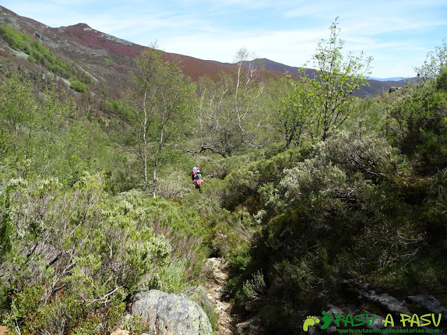 Ruta al Mustallar: Camino de los Gallegos