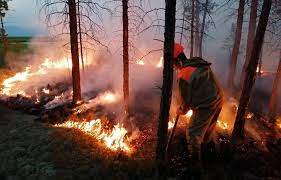 Природные пожары охватили всю Россию: кадры с мест событий