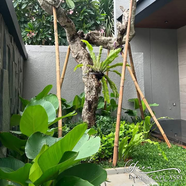 Jasa Taman, Jasa Pembuatan Taman, Jasa Desain Taman, Taman Minimalis, Taman Rumah