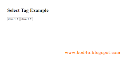HTML Select Tag Example
