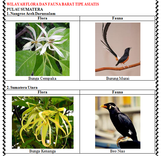 Contoh Flora Fauna Khas Berbagai Daerah Di Indonesia