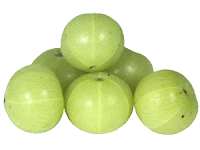 Health Benefits of Amla/Gooseberry