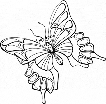 Flying butterfly coloring