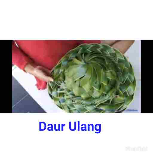  Cara  Membuat  Kerajinan  Tangan Topi Dari Daun  Kelapa Yang  