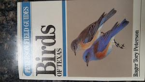 Field Guide to the Birds of Texas and Adjacent States