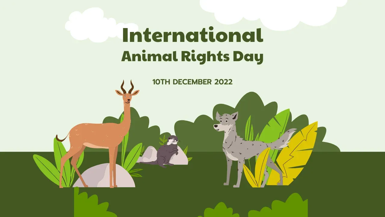 International Animal Rights Day - HD Images and Wallpapers