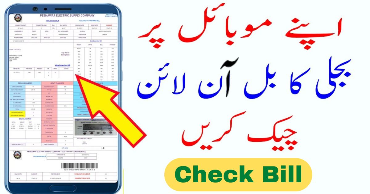 how to bill check online