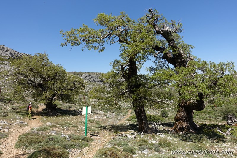 Mirador del Caucon-Tajo de la Caina-Peñón de los Enamorados