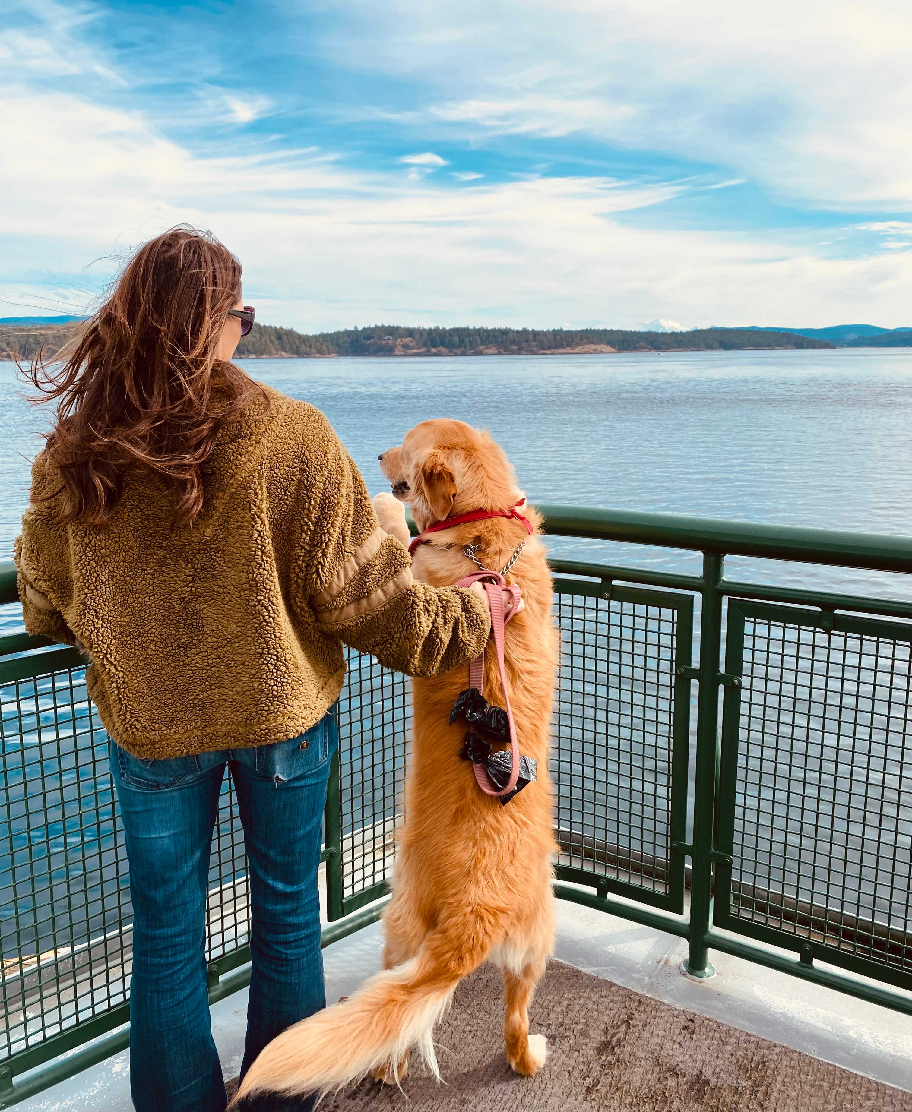 washington state ferry dog friendly
