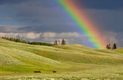 rainbow and the cloudy