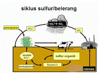 Pengertian Daur Sulfur