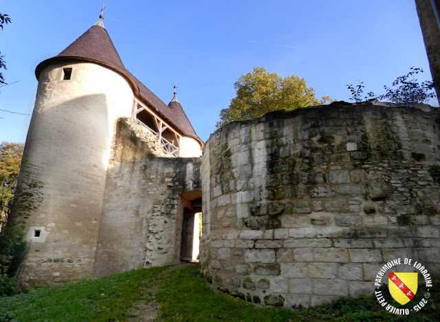 VIC-SUR-SEILLE (57) - Château épiscopal