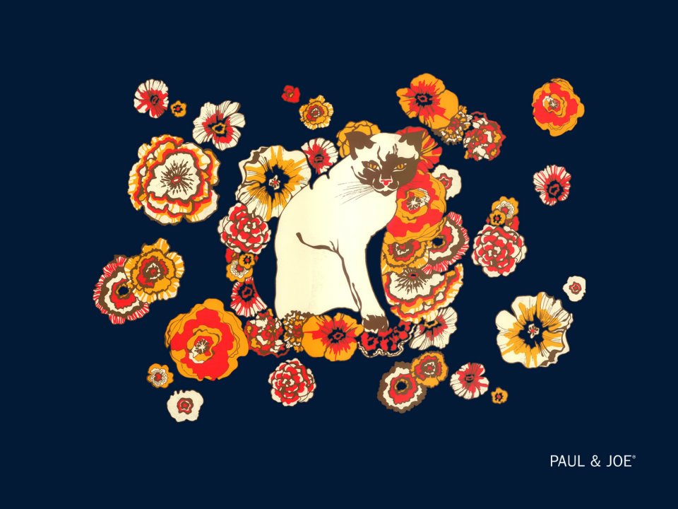 ベスト50 Paul Joe 壁紙 最高の花の画像