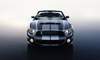 2010 Ford Shelby GT500 